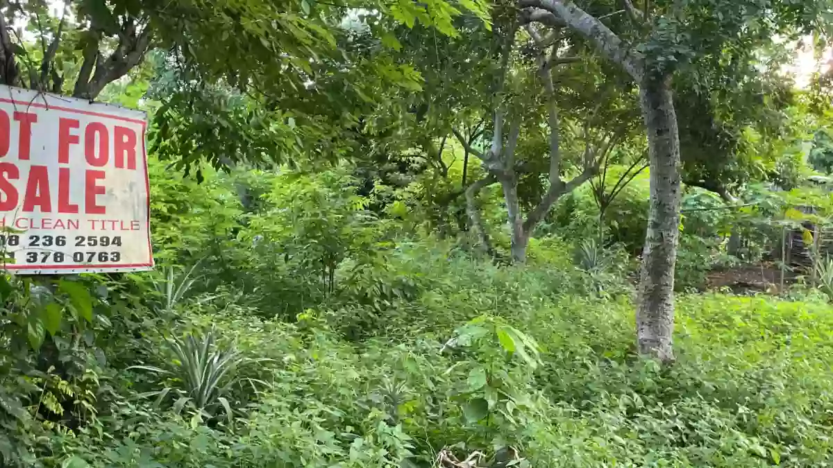 LOT ONLY  in Brgy. San Jose Puerto Princesa City Palawan — Residential Lot in Puerto Princesa City, Palawan, 5300 — Photo 5