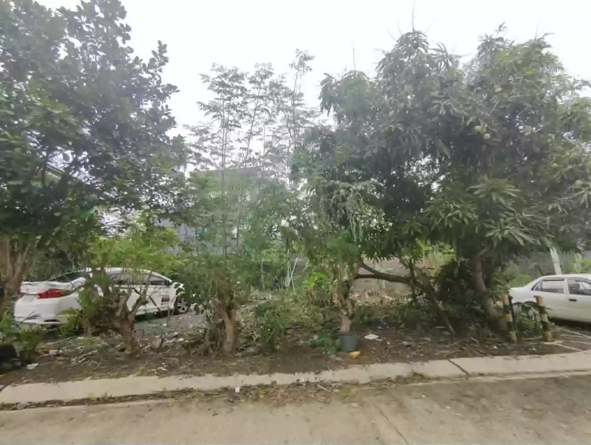 For Sale: Residential Lot in Concepcion Grande, Naga City — 171 sqm — Residential Lot in Concepcion Grande, Naga City, Camarines Sur — Photo 2