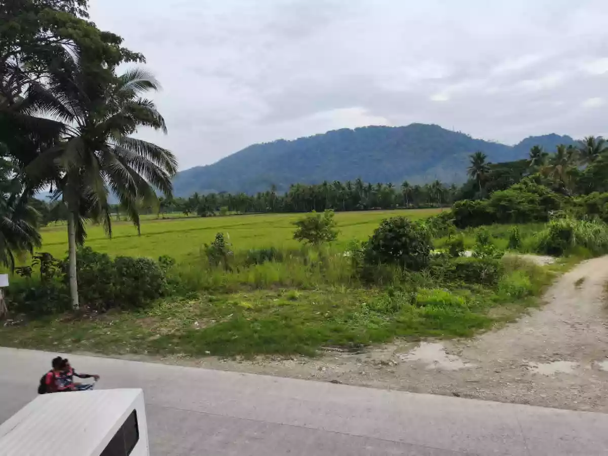 FOR SALE: Residential Lot in Barangay 5 (Pob.), San Francisco — 22,286 sqm — Residential Lot in San Francisco, Agusan del Sur, 8501 — Photo 3