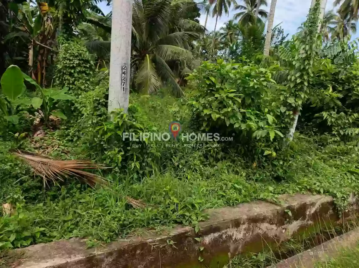 For Sale: Agricultural Lot in Poblacion, Magpet — 1031 sqm — Agricultural Lot in Magpet, Cotabato, 9404 — Photo 5