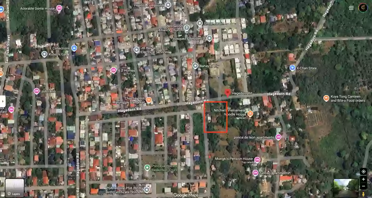 PRIME 2,000 SQM LOT FOR SALE in San Pedro, Puerto Princesa City, Palawan — Residential Lot in San Pedro, Puerto Princesa City, Palawan — Photo 5