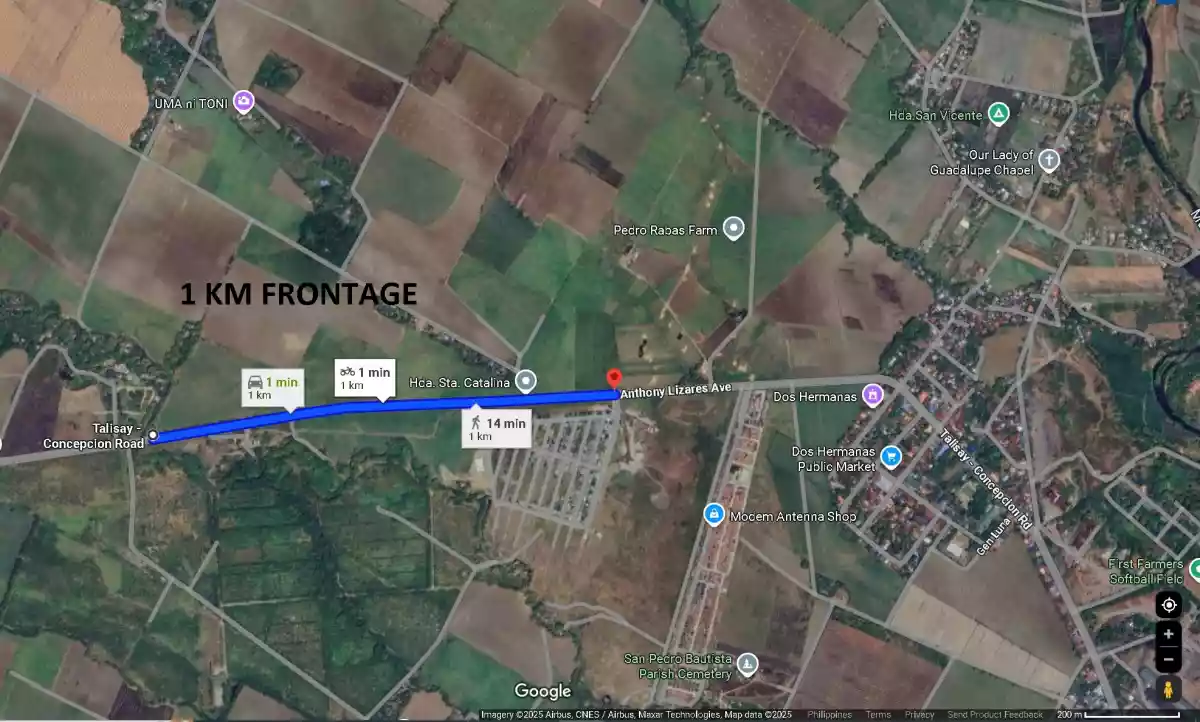 FOR SALE: Agricultural Land in Dos Hermanas, Talisay — 173,243 sqm
