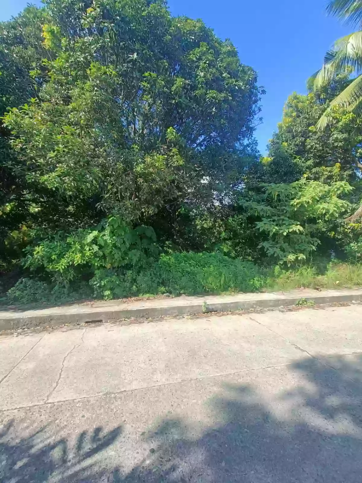 Prime Lot for Sale in Banilad, Dumaguete City π‘ β Residential Lot in Dumaguete City, Negros Oriental, 6200 β Photo 3