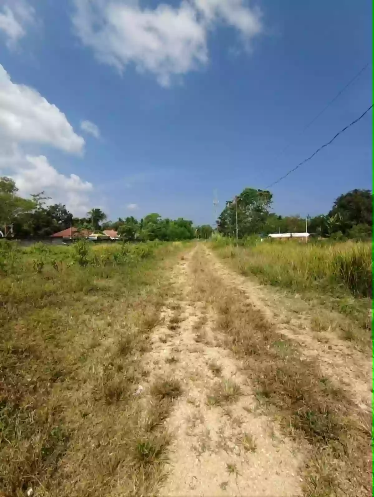 479 sqm Residential Lot for Sale Near Tinago Elementary School, Dauis — Residential Lot in Tinago, Dauis, Bohol — Photo 5