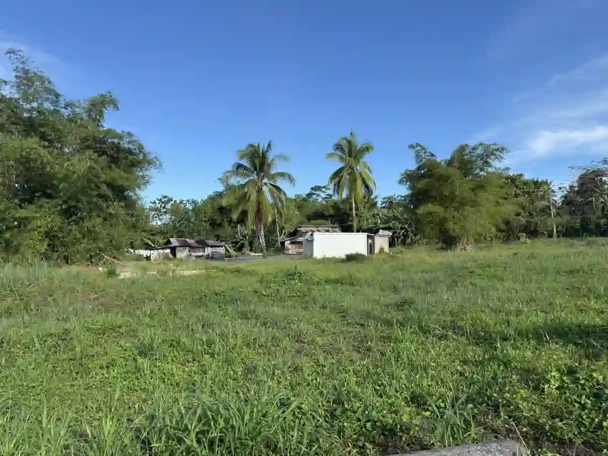 For Sale: Commercial Lot in Mabini, Placer — 3135.48 sqm — Commercial Lot in Placer, Surigao del Norte, 8405 — Photo 3
