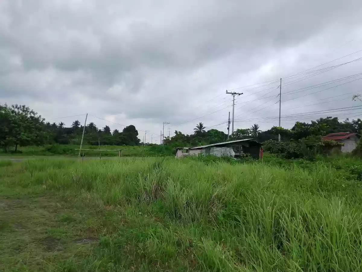 For Sale: Commercial Lot in Cannery Site, Polomolok — 2700 sqm — Commercial Lot in Cannery Site, Polomolok, South Cotabato — Photo 6