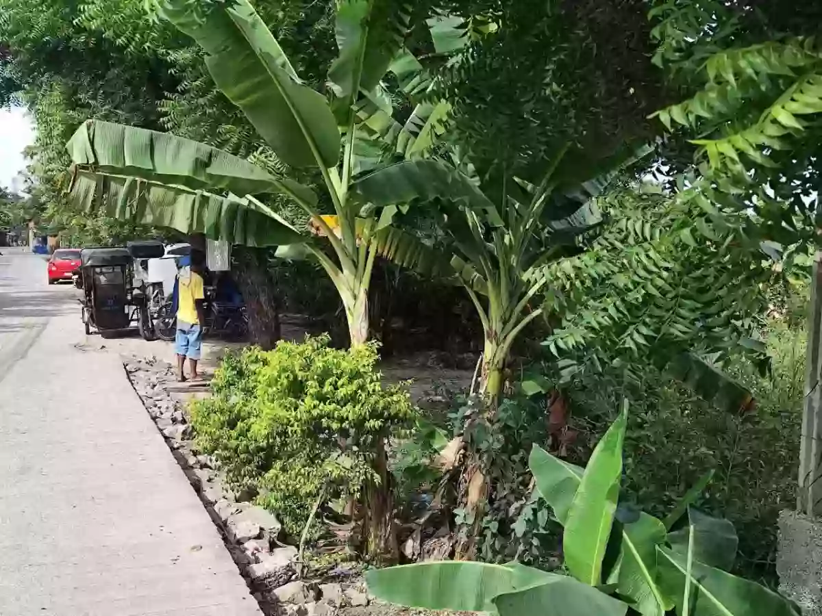 Open photo 15 of 18 — Lot for Sale near CCLEX Access Road