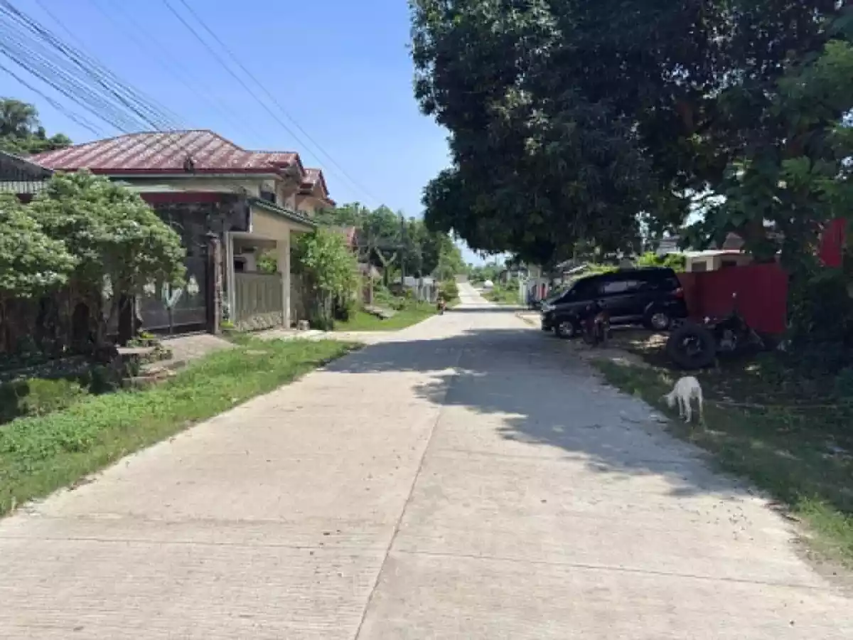 For Sale: 335 sqm Residential Lot in Tipanoy, Iligan City — Residential Lot in Tipanoy, Iligan City, Lanao del Norte — Photo 2