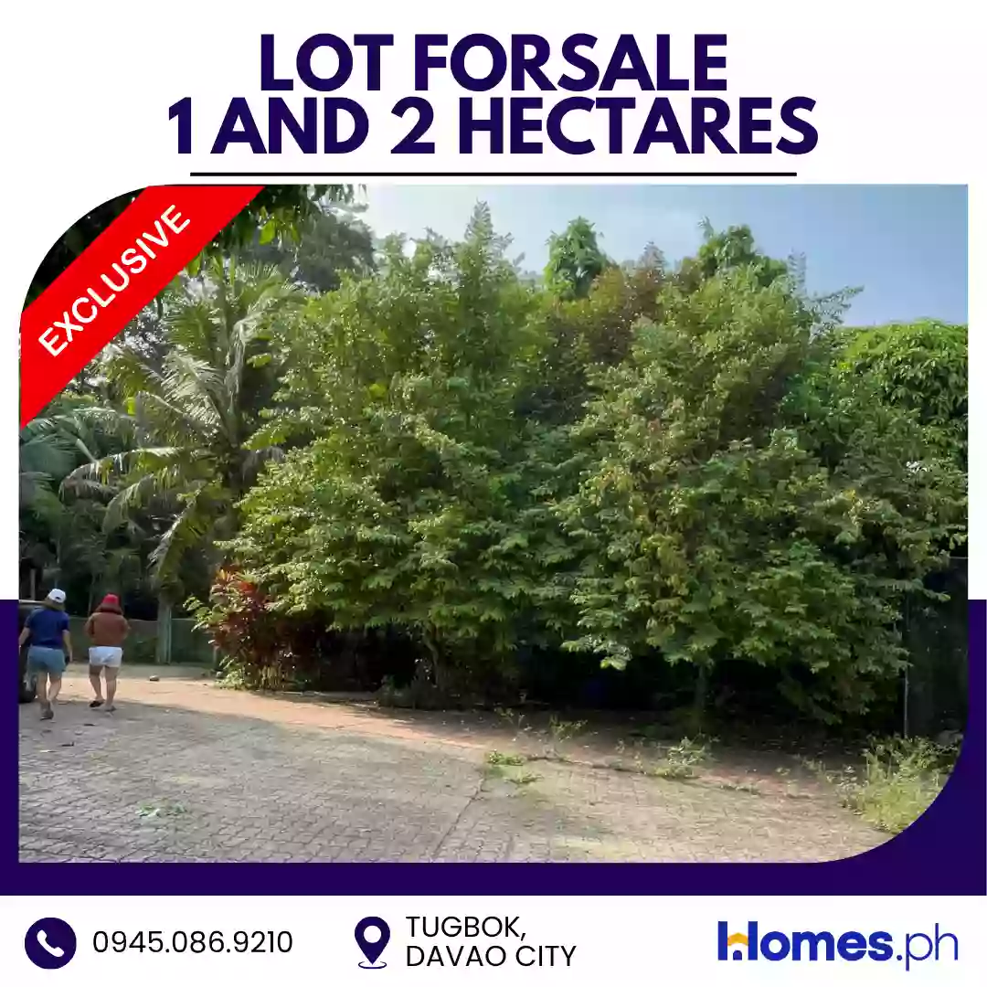 Open photo 11 of 16 — For Sale: Residential Lot in Tugbok (Pob.), Davao City — 30000 sqm