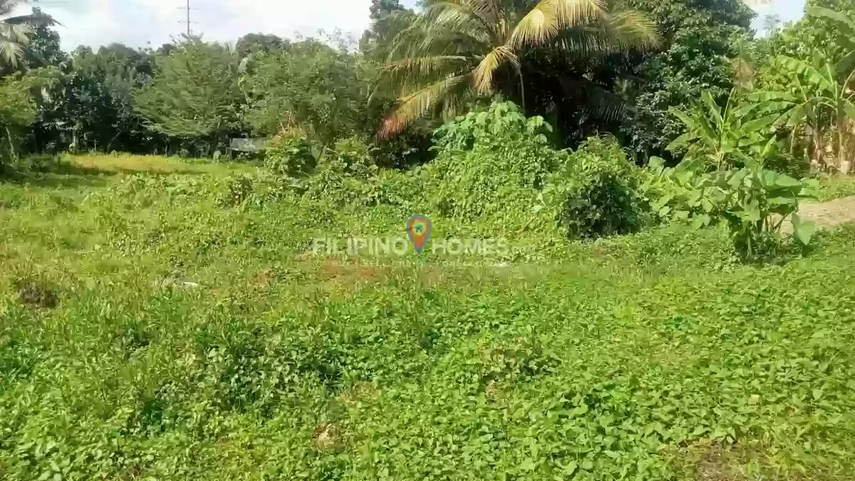 For Sale: Residential Lot in Sadaan, Midsayap — 631 sqm — Residential Lot in Midsayap, Cotabato, 9410 — Photo 3