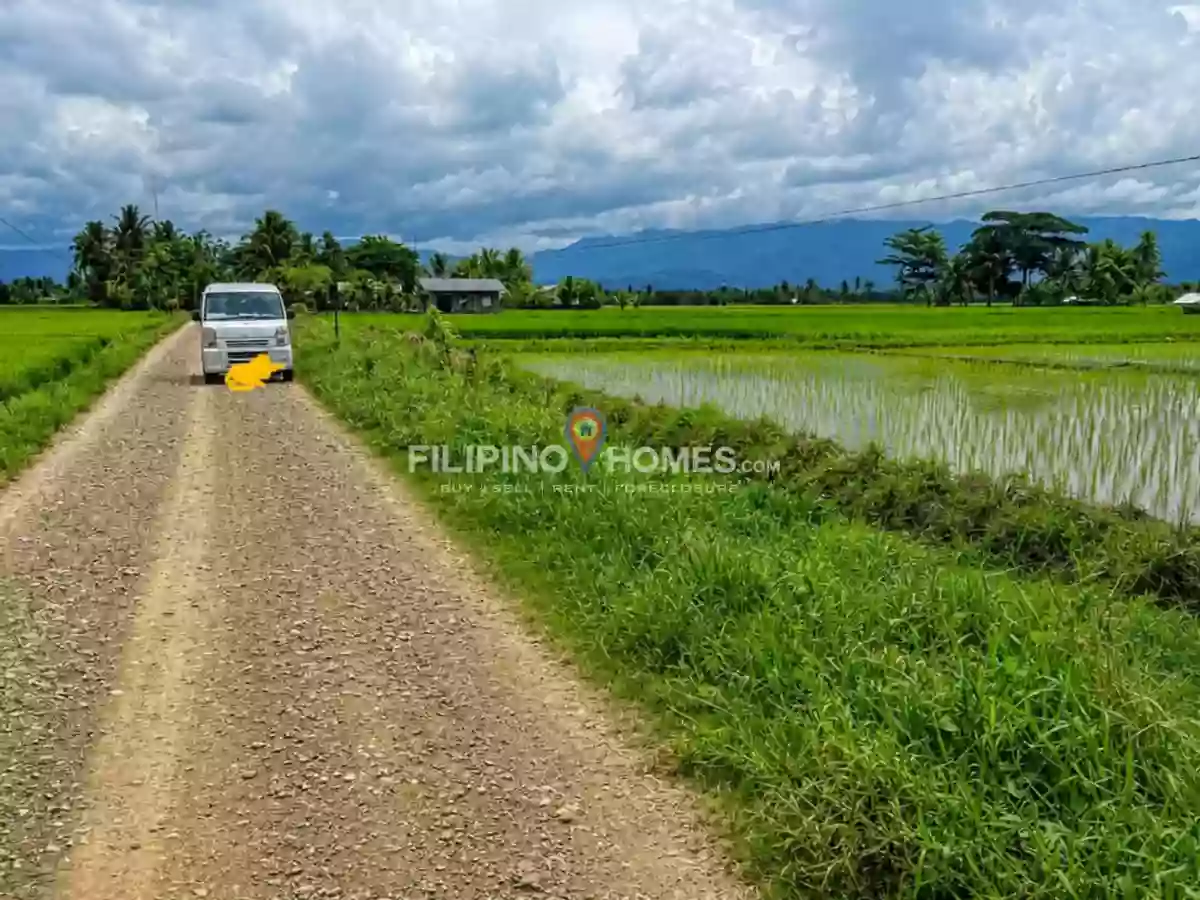 For Sale: Agricultural Lot in Gumaga, Libungan — 17217 sqm — Agricultural Lot in Libungan, Cotabato, 9411 — Photo 5