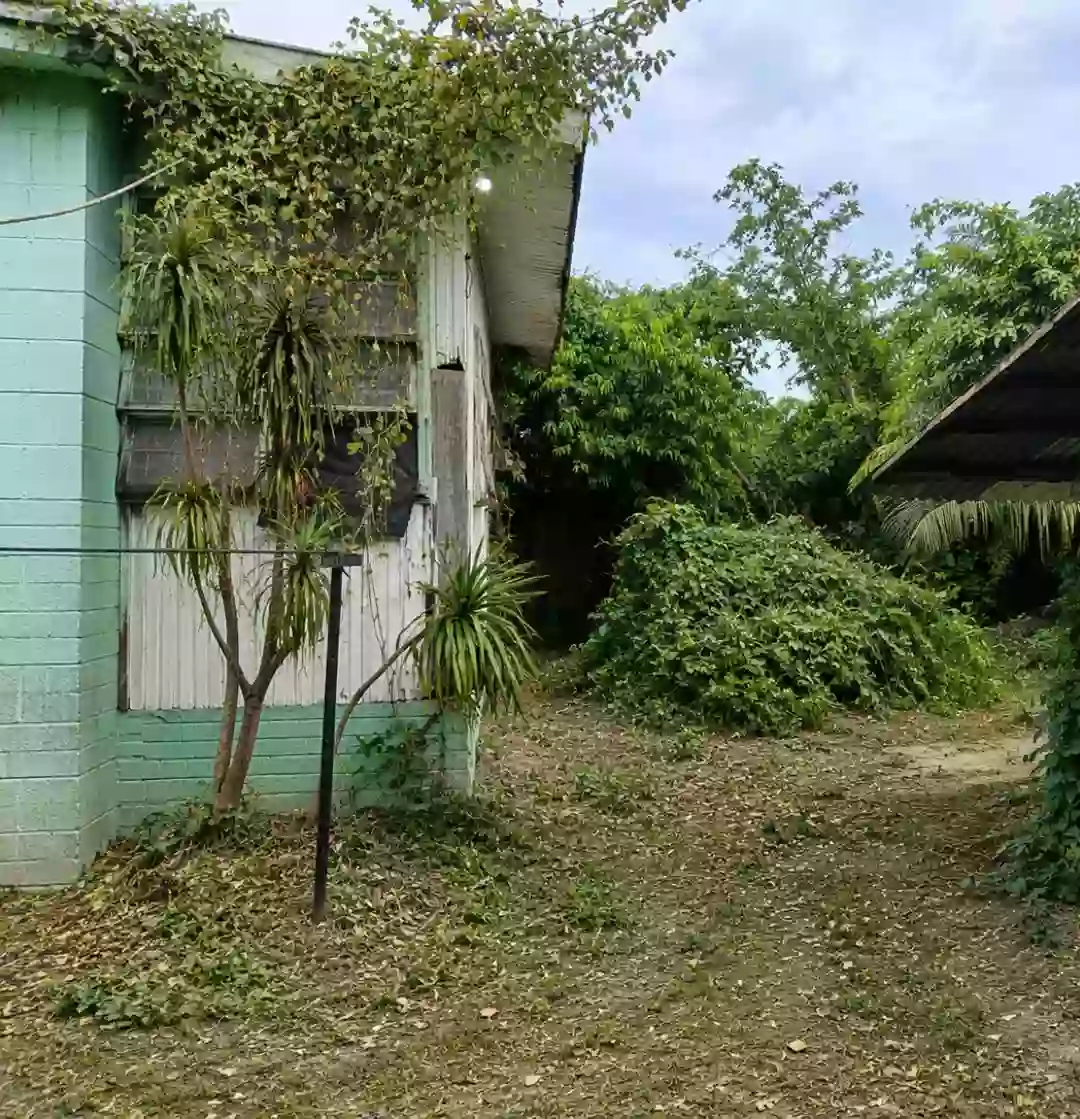 RESIDENTIAL LOT FOR SALE with 2 House — House and Lot in Naga City, Camarines Sur, 4400 — Photo 5