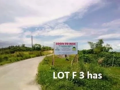 For Sale: Residential Lot in Aslong, Libmanan, 106000 sqm — Residential Lot in Libmanan, Camarines Sur, 4407 — Photo 4