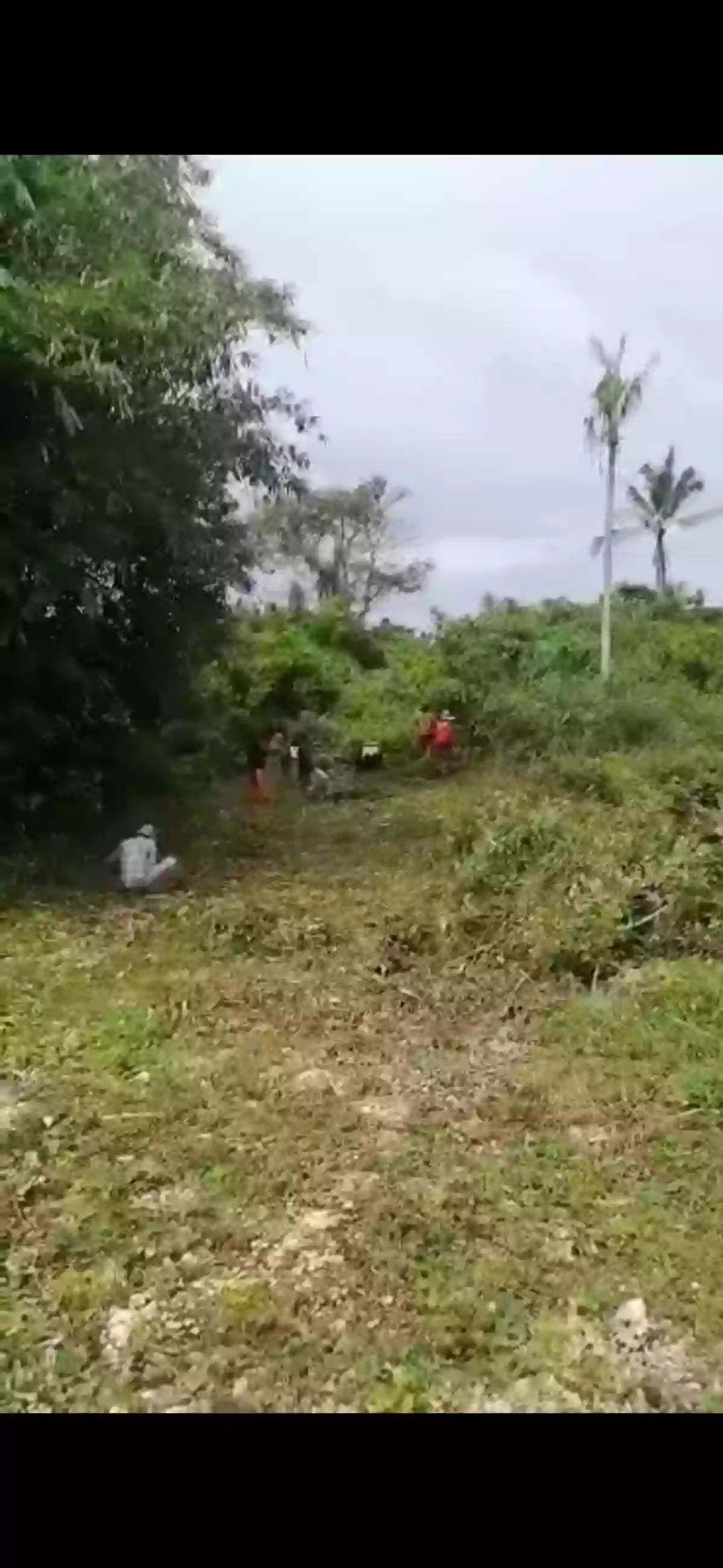 For Sale 2,000sqm Overlooking Agricultural Lot in Mercedes, Poro, Camotes — Agricultural Lot in Poro, Cebu, 6049 — Photo 3