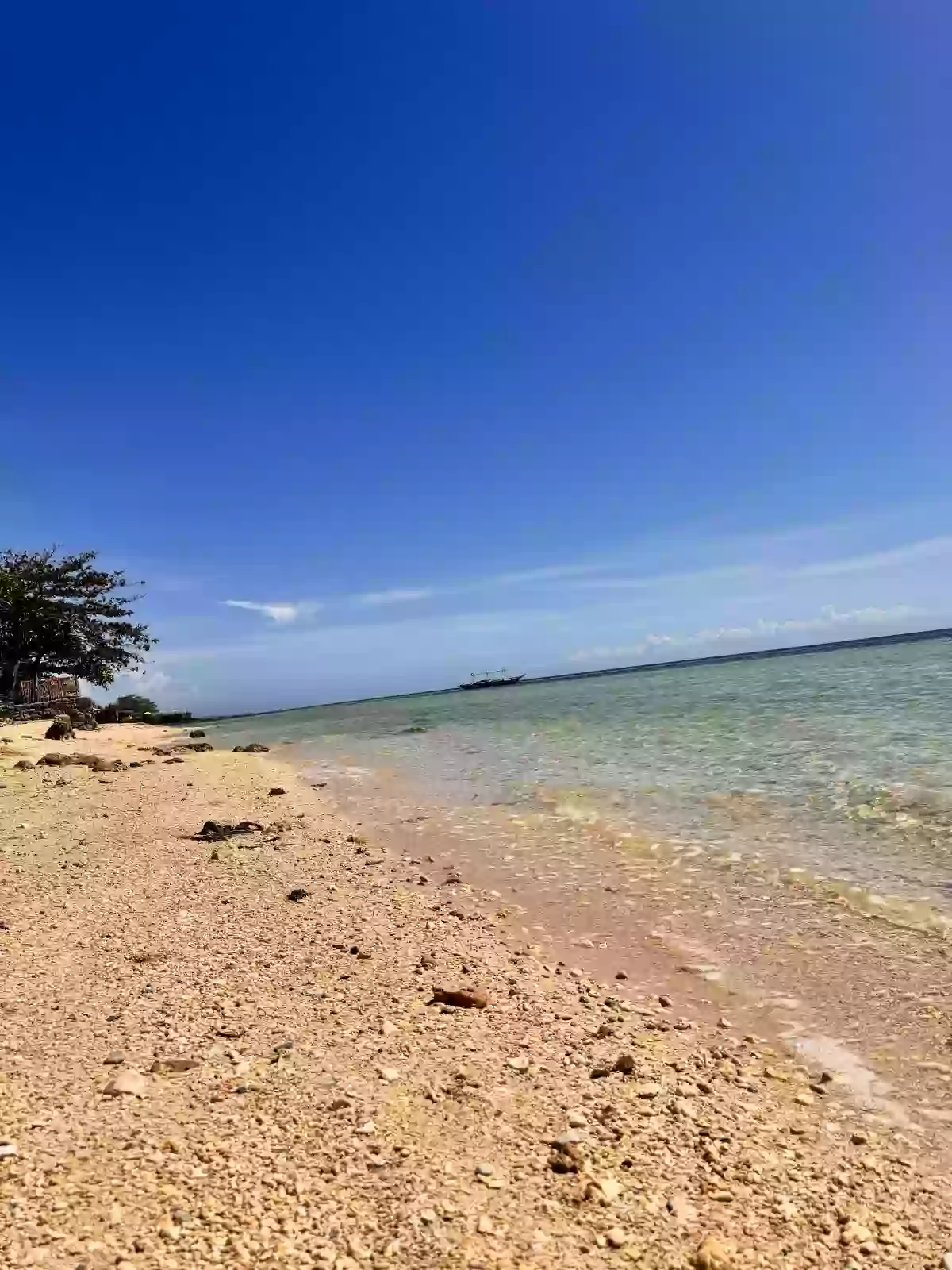 For Sale: Beach Lot in Mahawak, Medellin, Cebu — 816 sqm — Beach Lot in Medellin, Cebu, 6012 — Photo 2