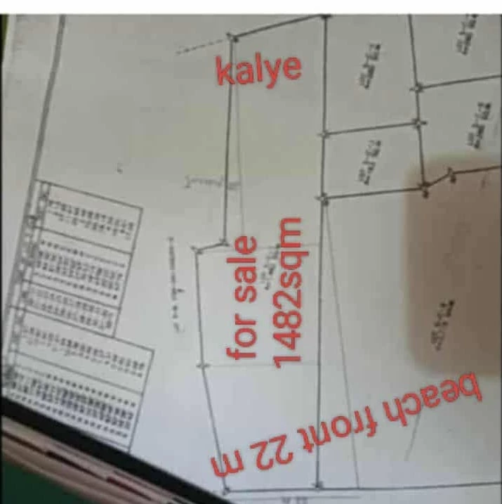 For Sale: Beach Lot in San Teodoro, Mabini — 1482 sqm — Beach Lot in Mabini, Batangas, 4202 — Photo 2