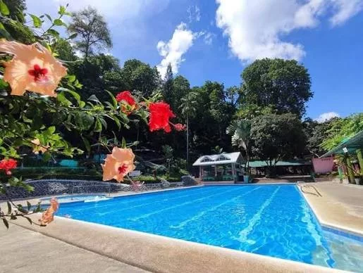 Davao Woodridge Park Subdivision - Lot only (near Davao diversion Road entrance gate) — Residential Lot in Davao City, Davao del Sur, 8000 — Photo 3