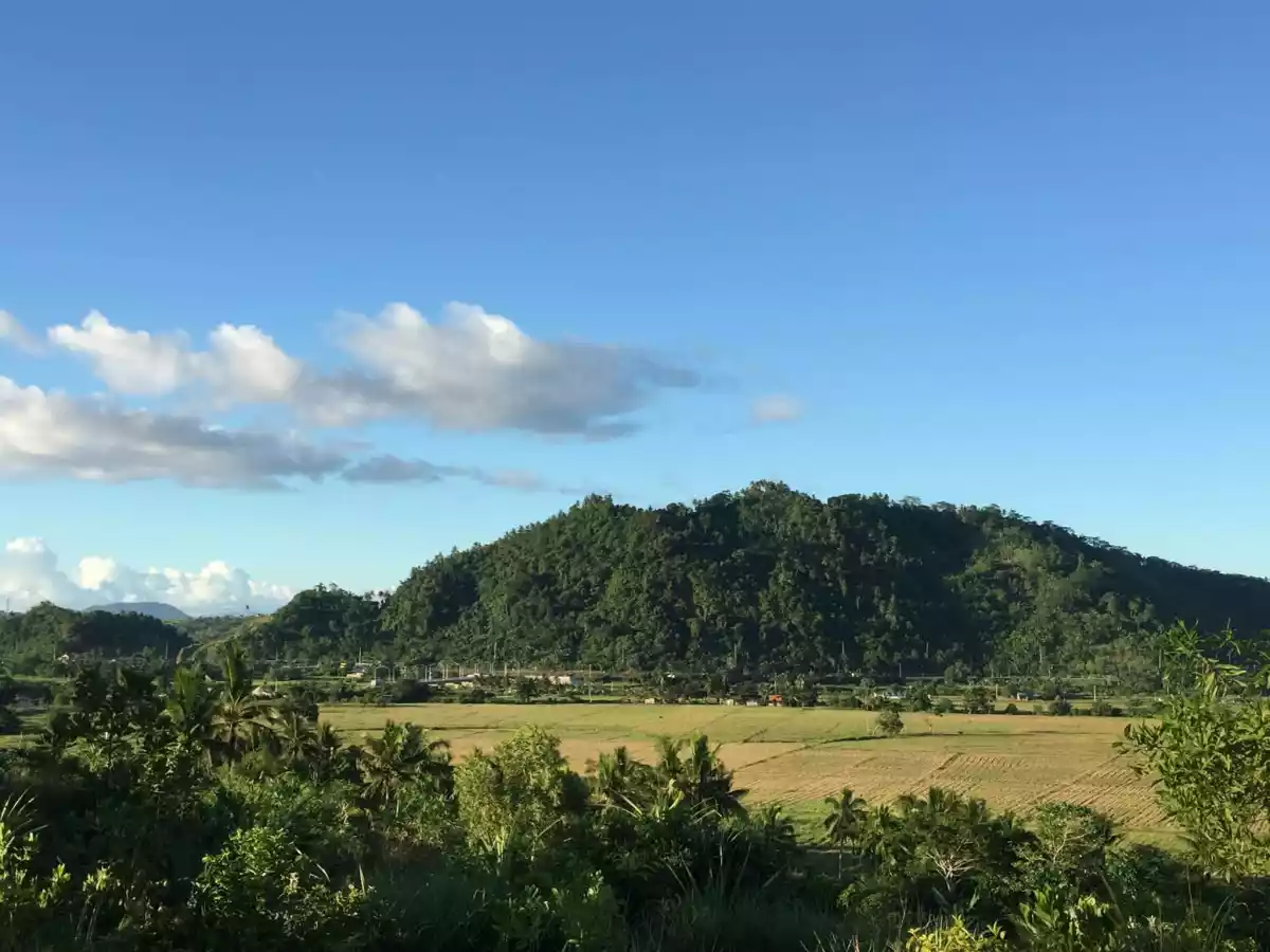For Sale: Agricultural Lot in Serna, Surigao City — 12748 sqm — Agricultural Lot in Surigao City, Surigao del Norte, 8400 — Photo 5