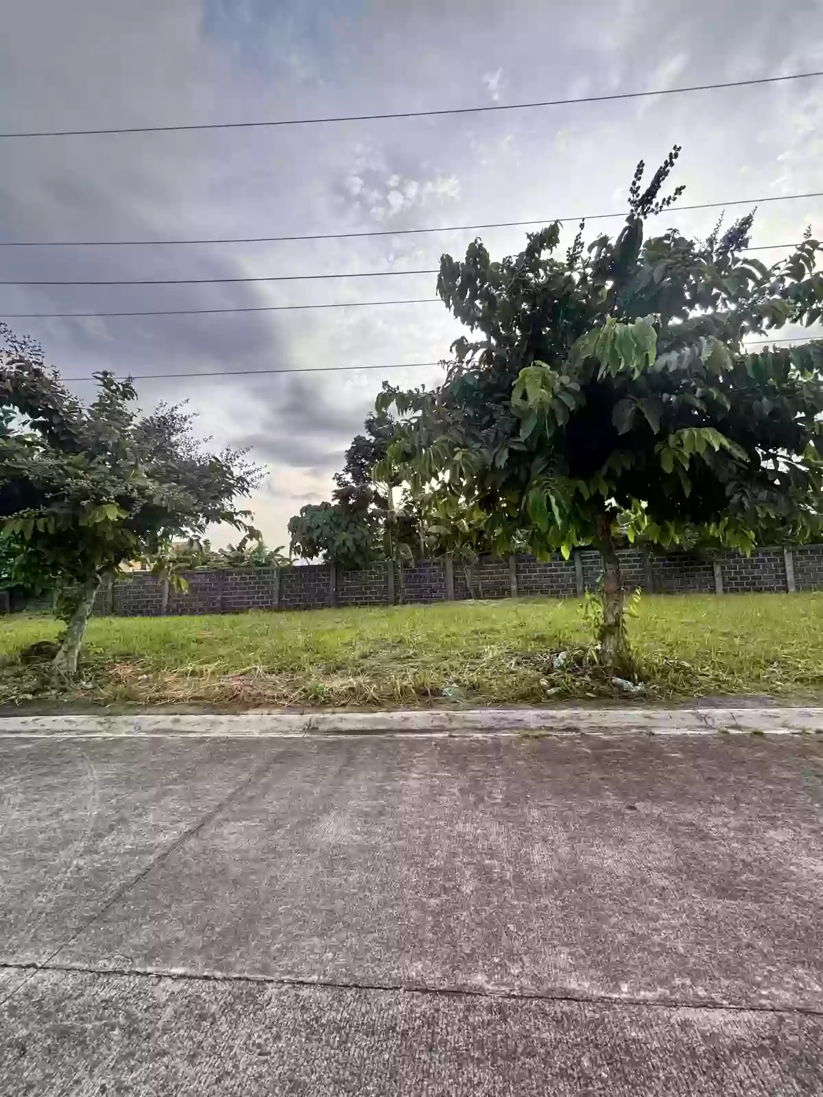For Sale: Residential Lot in Cararayan, Naga City — 87 sqm — Residential Lot in Camarines Sur, 4400, Philippines — Photo 3