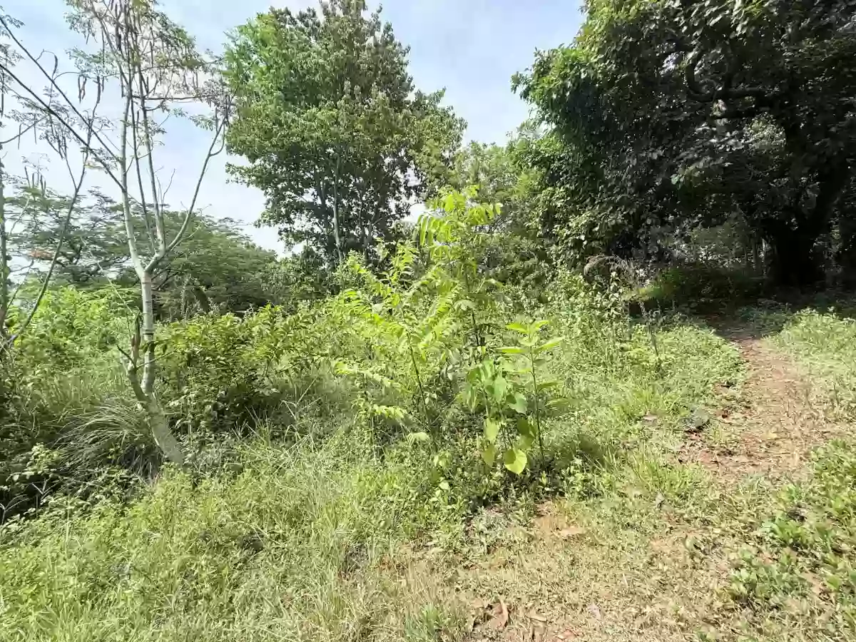 For Sale: 36000 sqm Residential Lot in Camaman-an, Cagayan de Oro City — Residential Lot in Cagayan de Oro City, Misamis Oriental, 9000 — Photo 4