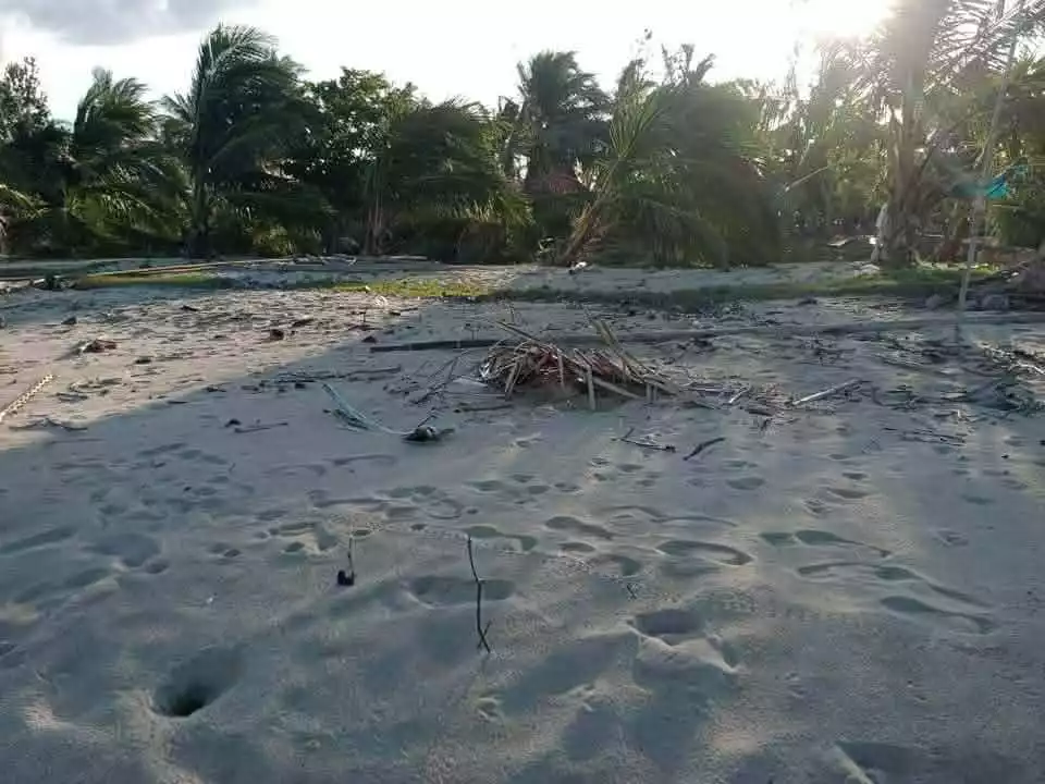 For Sale: Beach Lot in Salvacion, Roxas — 10,000 sqm — Beach Lot in Roxas, Palawan, 5308 — Photo 5