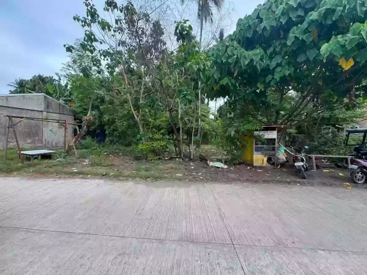 For Sale: Commercial Lot in Poblacion, Zamboanguita — 626 sqm