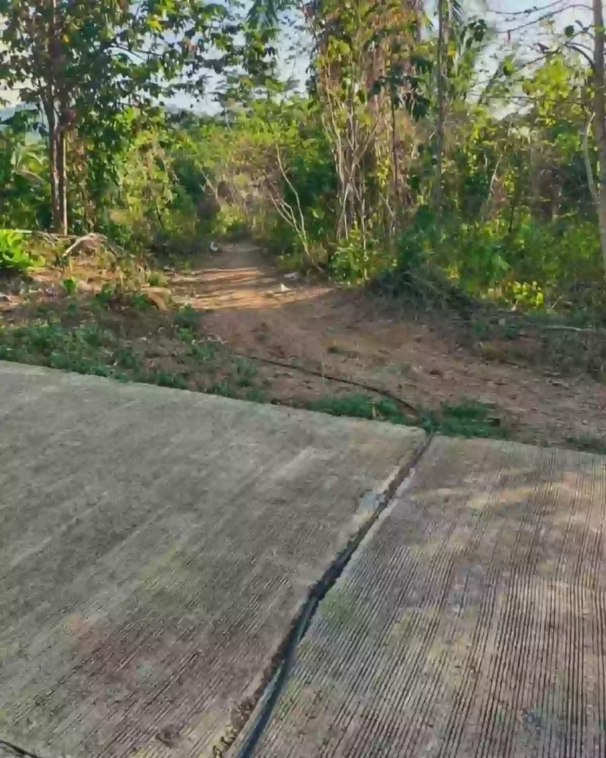 For Sale: Farm Lot in Brgy. Simpocan, Puerto Princesa City —450 per sqm sqm — Agricultural Lot in Simpocan, Puerto Princesa City, Palawan — Photo 5