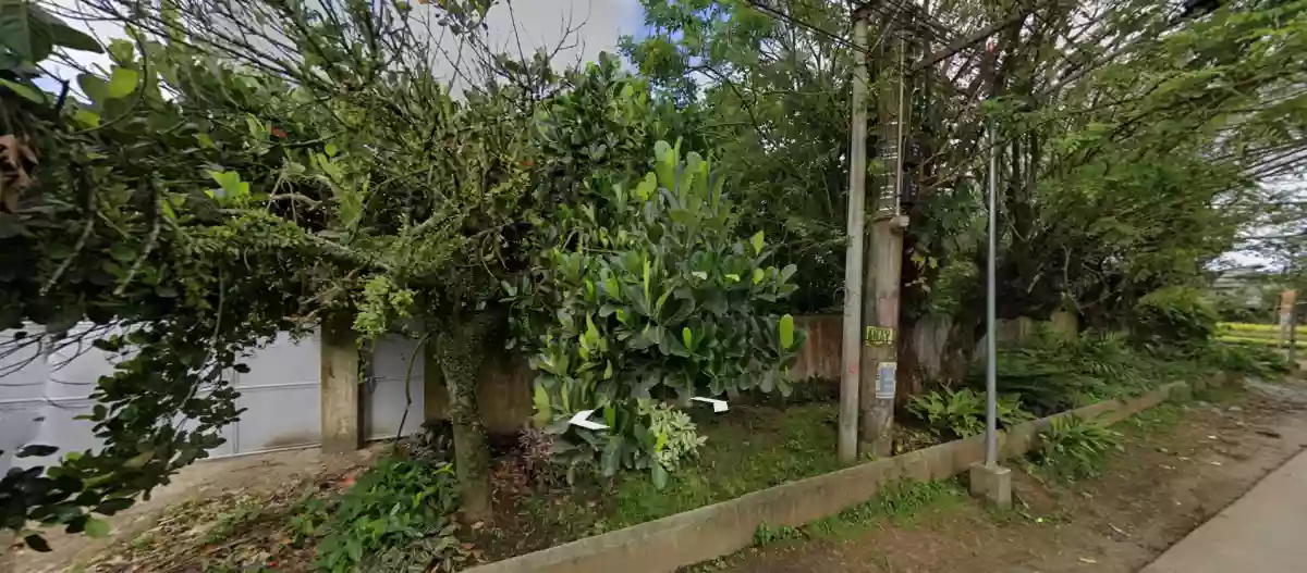 For Sale: Agricultural Lot with 32 meters Frontage in Ulat, Silang — Agricultural Lot in Silang, Cavite, 4118 — Photo 6