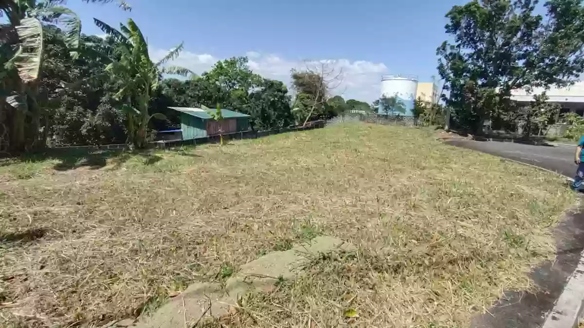 Residential Lot for Sale in Carmel Ridge Estate, Calamba City — Residential Lot in Kay-Anlog, Calamba, Laguna — Photo 3