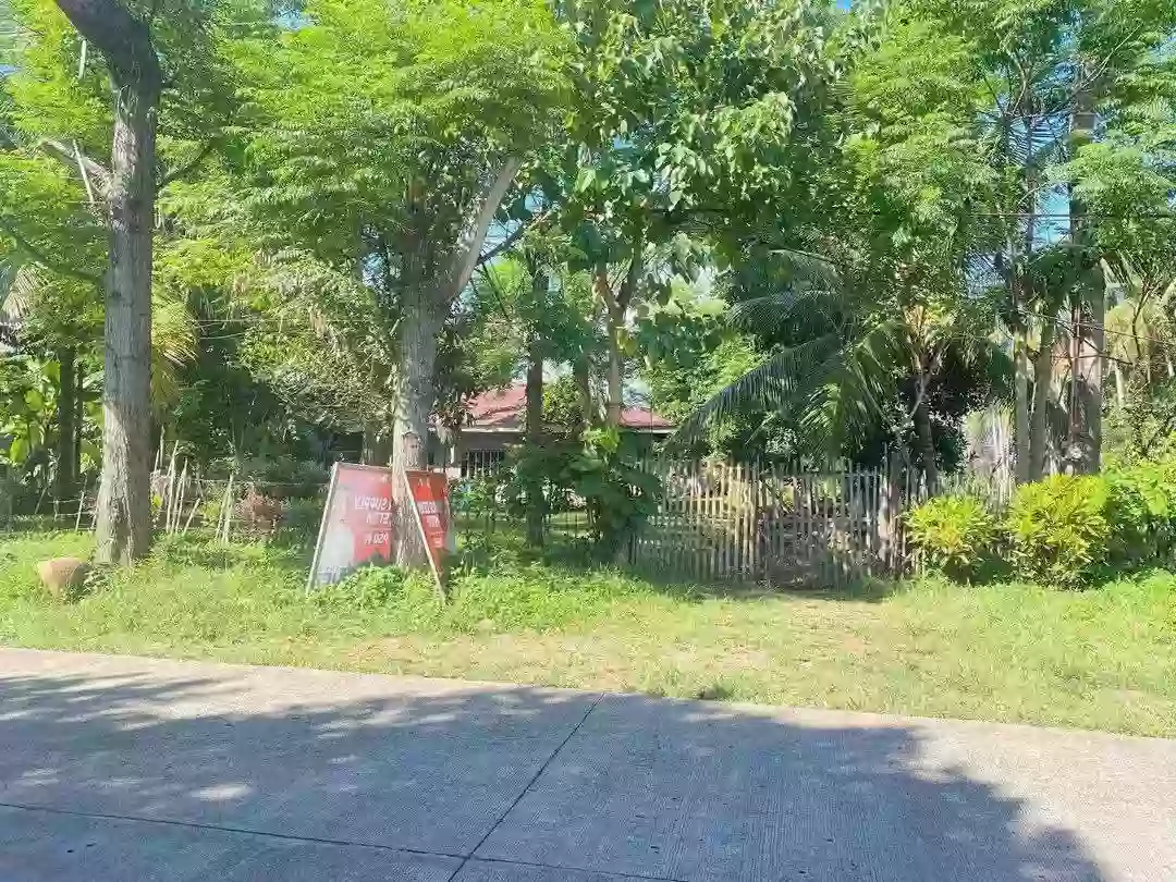 For Sale: 4BR House and Lot in Balubal, Cagayan de Oro City — 953 sqm — House and Lot in Balubal, Cagayan de Oro City, Misamis Oriental — Photo 2