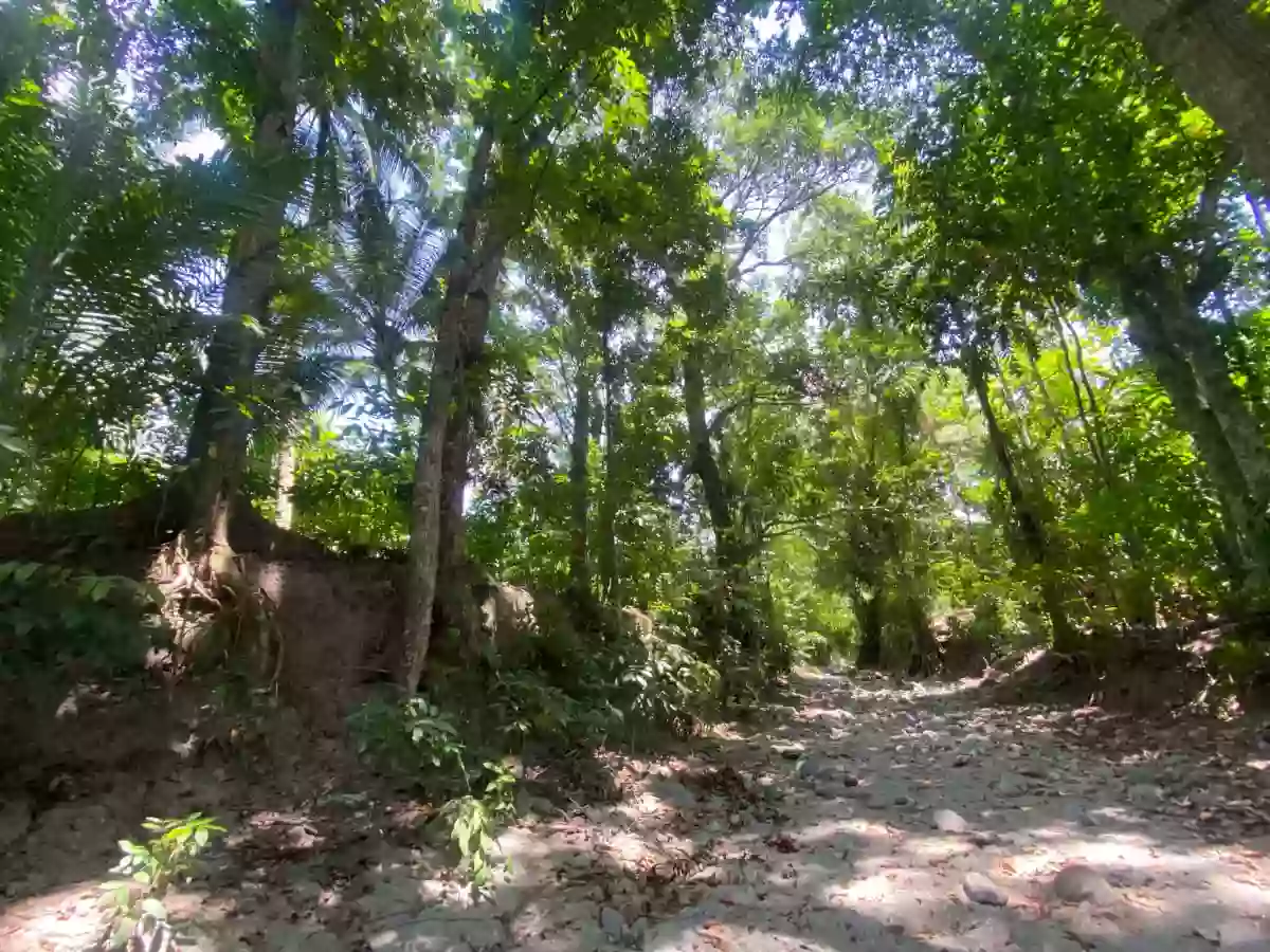 For Sale: Agricultural Lot in Carpenter Hill, Koronadal — 28681 sqm — Agricultural Lot in Koronadal, South Cotabato, 9506 — Photo 4