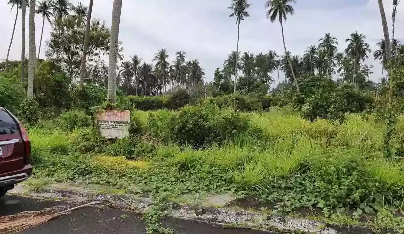 For Sale: Residential Lot in Bulakin, Tiaong, Quezon — 602 sqm — Residential Lot in Tiaong, Quezon, 4325 — Photo 2