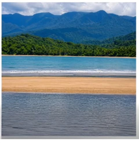FOR SALE Beach Lot in Napsan, Puerto Princesa City — 12628 sqm — Beach Lot in Puerto Princesa City, Palawan, 5300 — Photo 5