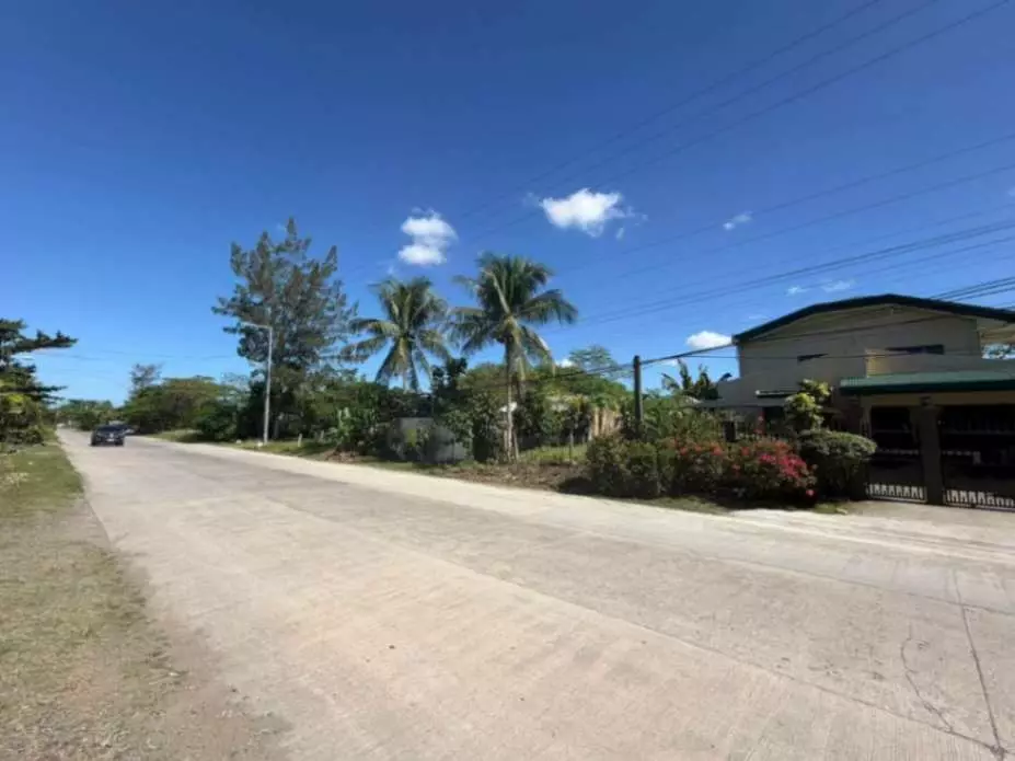 Residential Lot for SALE - photo 4