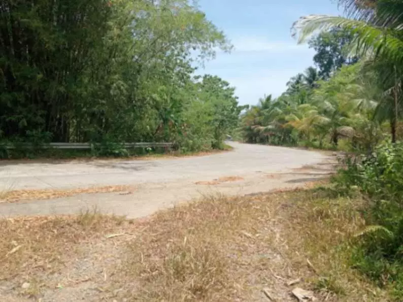 FARM LOT FOR SALE - photo 3