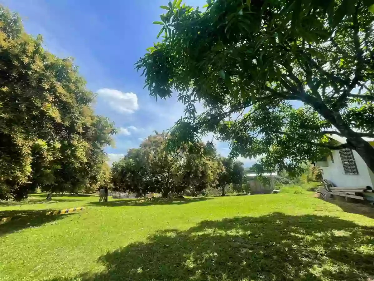PRIME 1-HECTARE LOT FOR SALE IN PAHIRON, LUMBIA! — Agricultural Lot in Cagayan de Oro City, Misamis Oriental, 9000 — Photo 6