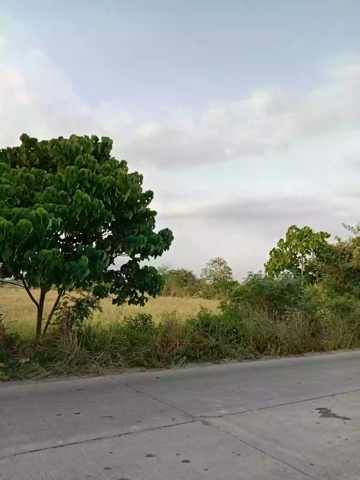 9 Hectares Lot for Sale Along Diversion Road, Barangay Mabuhay, General Santos City – Ideal for Development — Residential Lot in Gen. Santos City, South Cotabato, 9500 — Photo 6