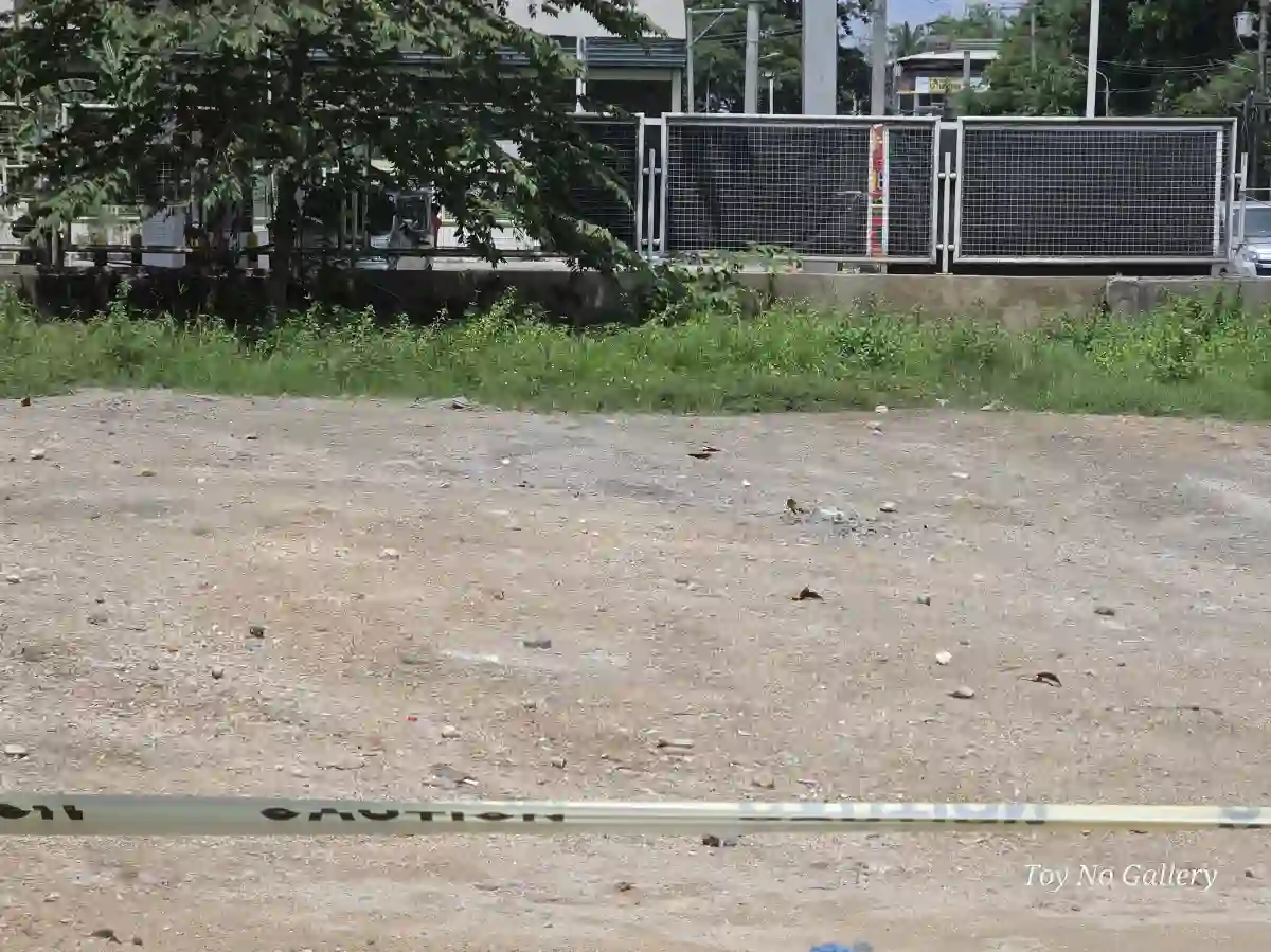 For Rent: Commercial Lot Near Cebu City — 350 sqm in Naga City — Commercial Lot in Naga City, Cebu, 6037 — Photo 2