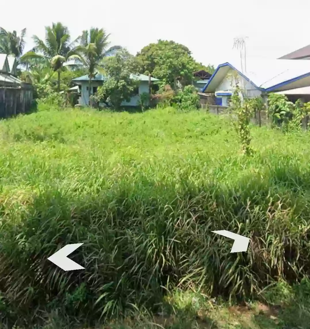 For Sale: Residential Lot 400 sqm in Tangub, Bacolod City — Residential Lot in Gardenville Subdivision, Tangub, Bacolod City — Photo 3
