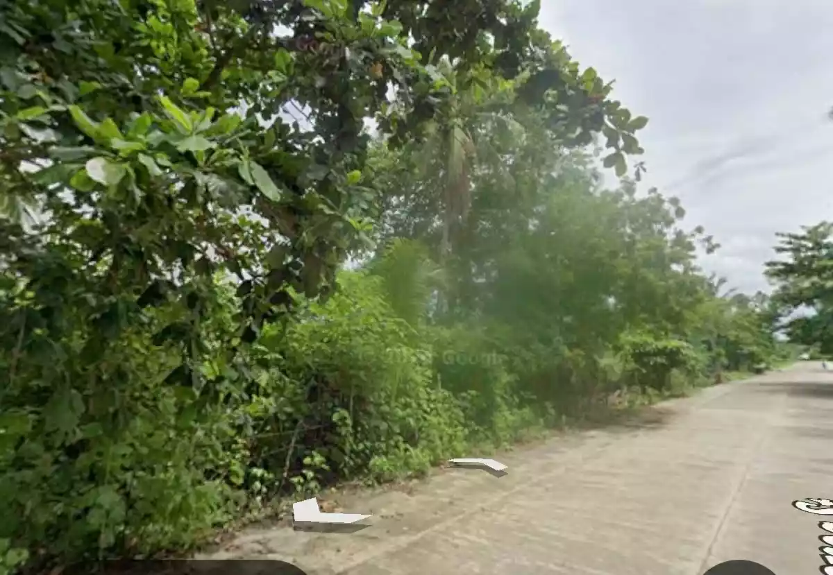For Sale: Agricultural Lot Near Cabeza de Buenavista Rotunda, Buenavista — 27061 sqm — Agricultural Lot in Buenavista, Agusan del Norte, 8601 — Photo 5