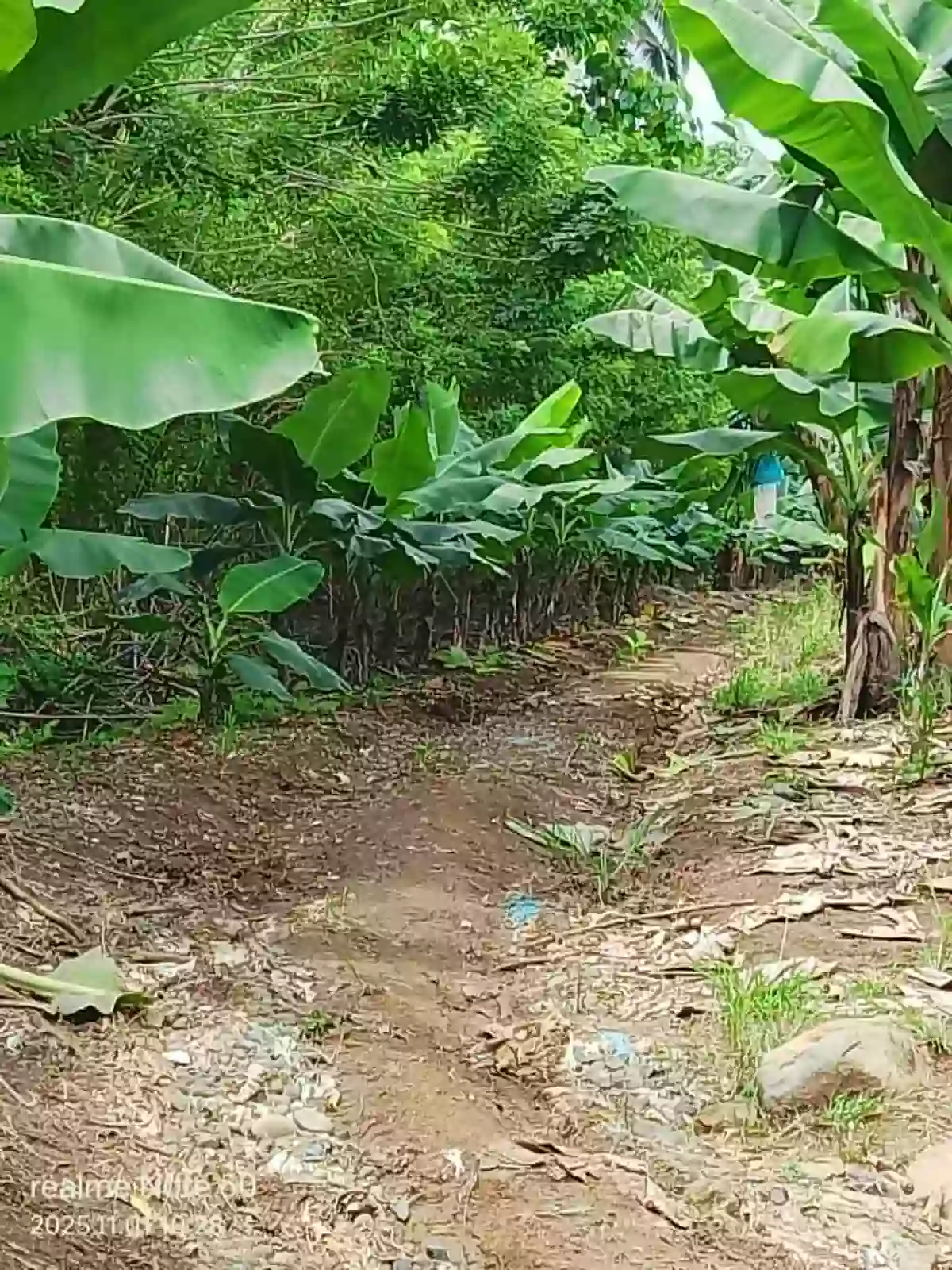 For Sale Agricultural Lot in Tagakpan, Davao City — investment land