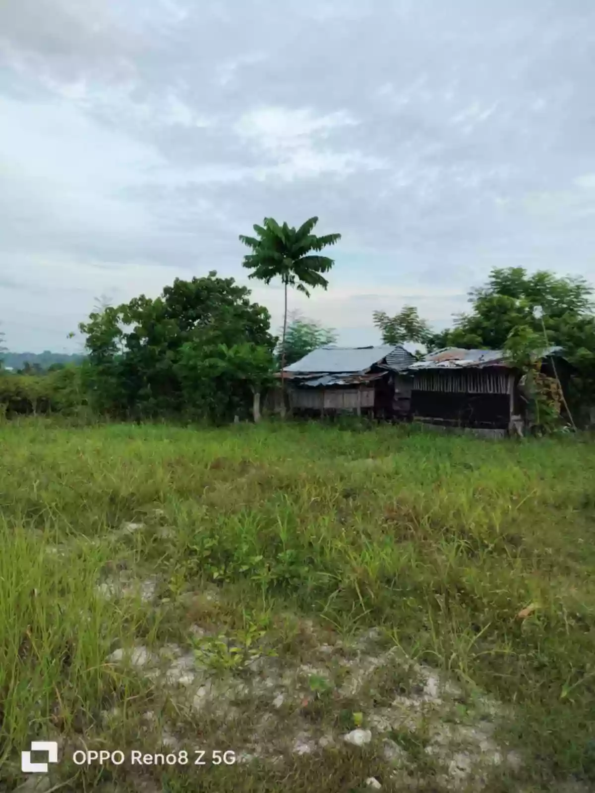 Lot For Sale in Liburon Carcar Cebu Visayas