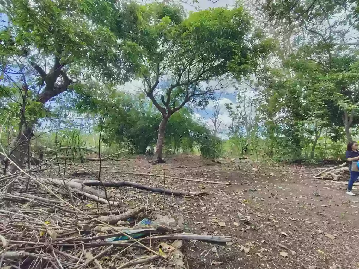 🏡 LOT FOR SALE – Cararayan, Naga City 🏡  📐 Lot Area: 661 SQM 📄 Clean Title — Agricultural Lot in Naga city, Pacol, Naga City — Photo 2