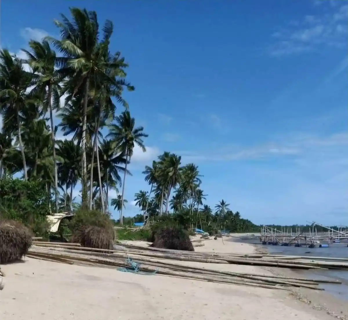 For Sale: Lucbuan Beach Lot in Puerto Princesa City — 195329 sqm Investment — Beach Lot in Puerto Princesa City, Palawan, 5300 — Photo 4