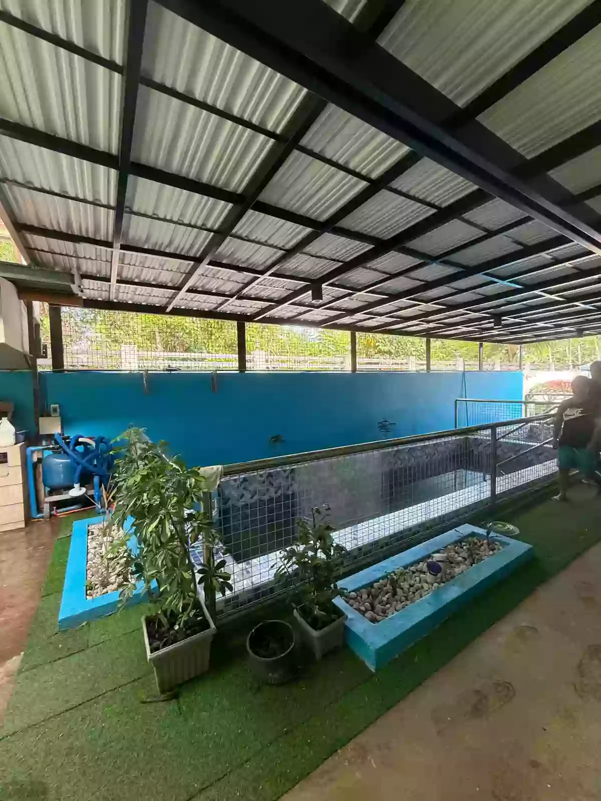For Sale: 3BR House and Lot with Swimming Pool in Poblacion, Trento — House and Lot in Poblacion, Trento, Agusan del Sur — Photo 6