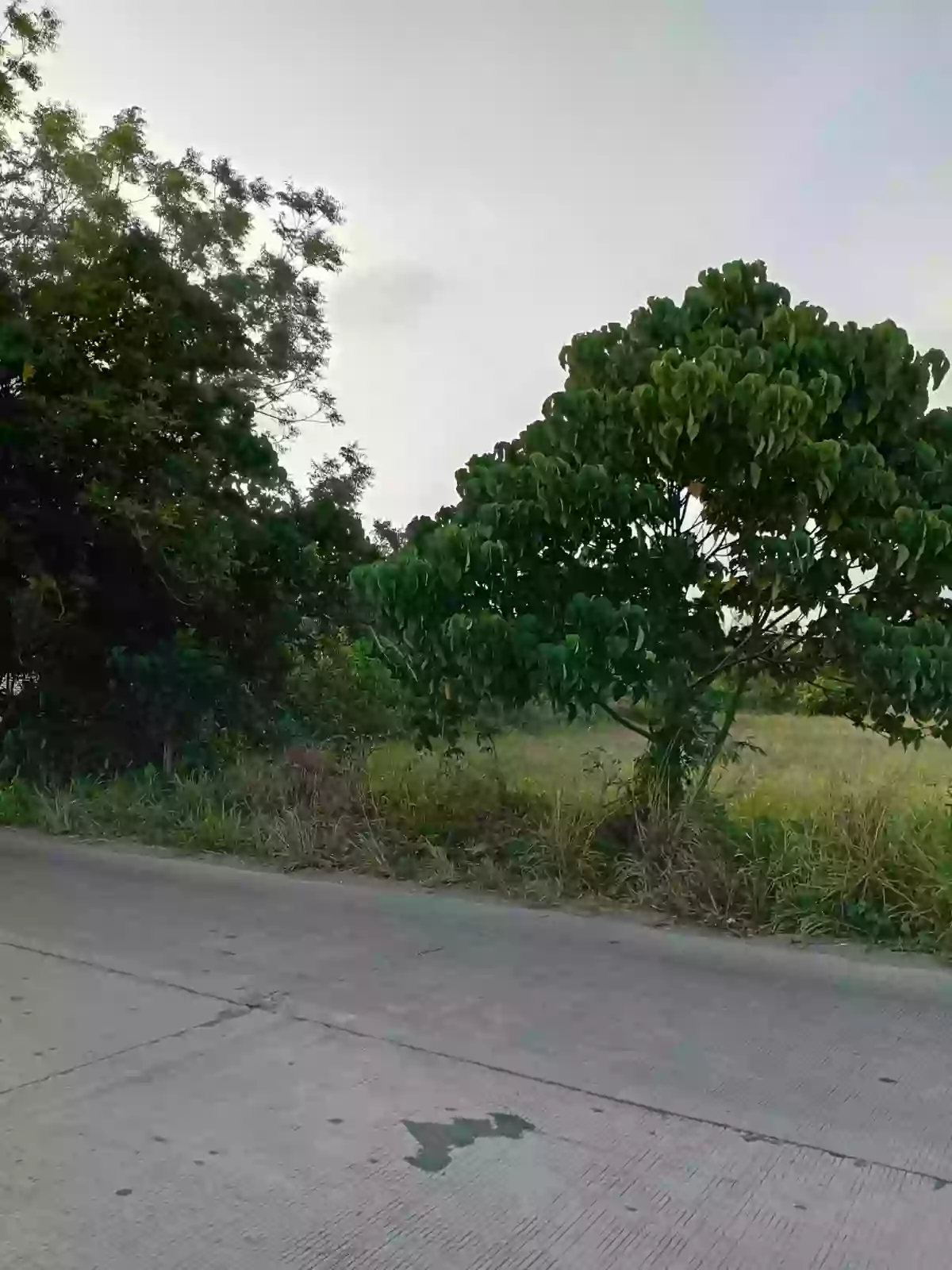 9 Hectares Lot for Sale Along Diversion Road, Barangay Mabuhay, General Santos City – Ideal for Development — Residential Lot in Gen. Santos City, South Cotabato, 9500 — Photo 5
