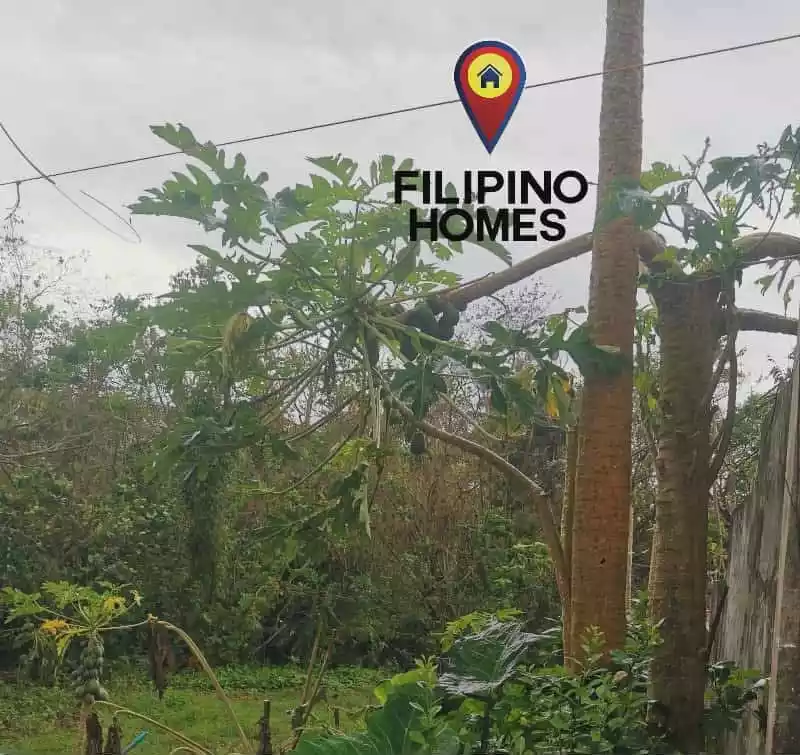 130 sqm residential lot for sale — Residential Lot in Naga City, Camarines Sur, 4400 — Photo 3