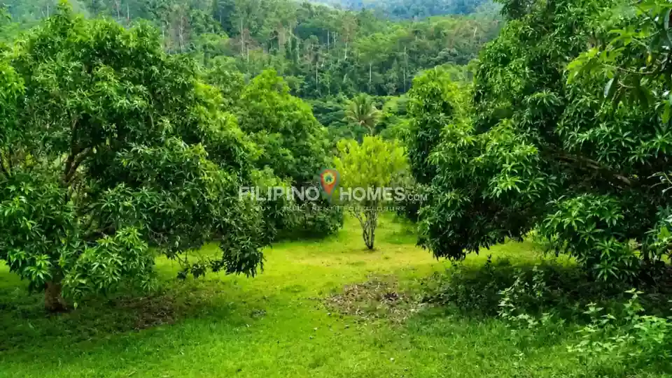 For Sale: Agricultural Lot in Anick, Pigkawayan — 46096 sqm