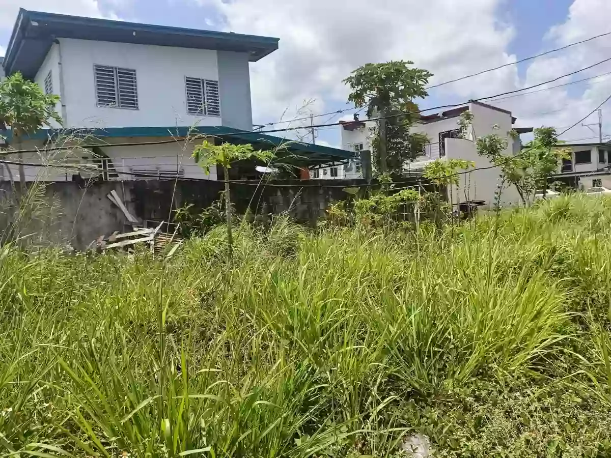 For Sale: Residential Lot in Kalubkob, Silang, Cavite — 101 sqm Corner Lot — Residential Lot in Silang, Cavite, 4118 — Photo 2