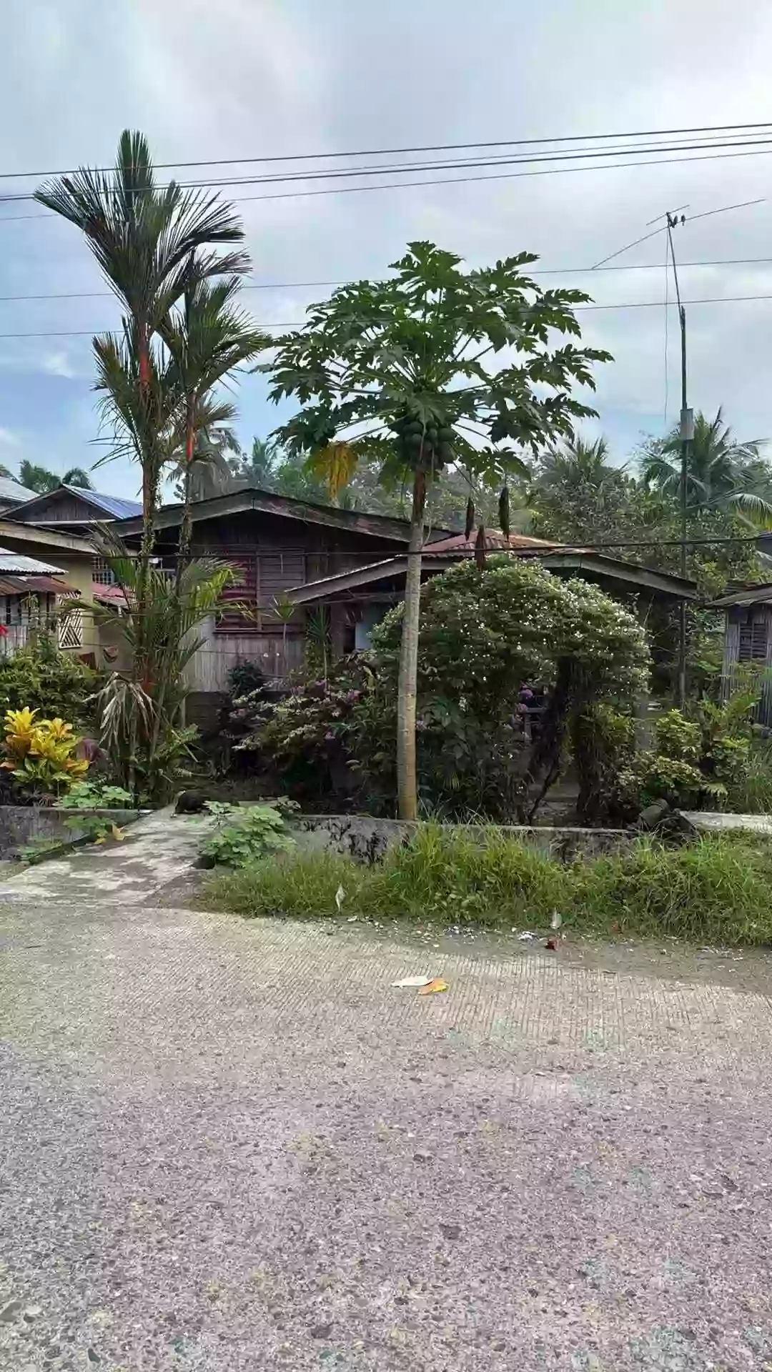 Rush Sale: 318 sqm Residential Lot in Poblacion, Bayugan near BNCHS — Residential Lot in Poblacion, Bayugan City, Agusan del Sur — Photo 4